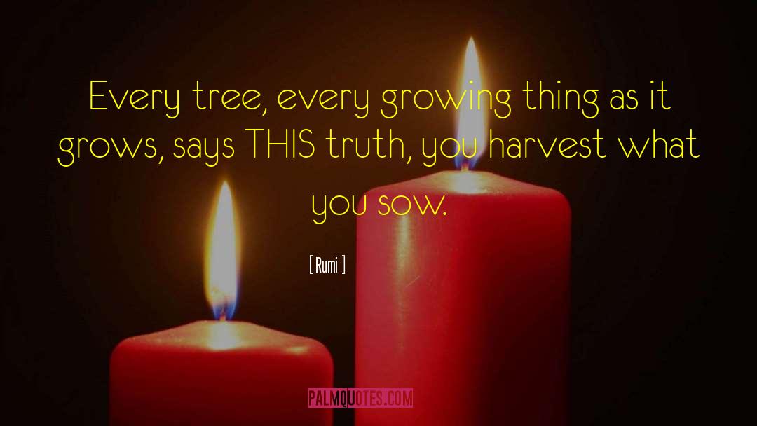 Reap What You Sow quotes by Rumi
