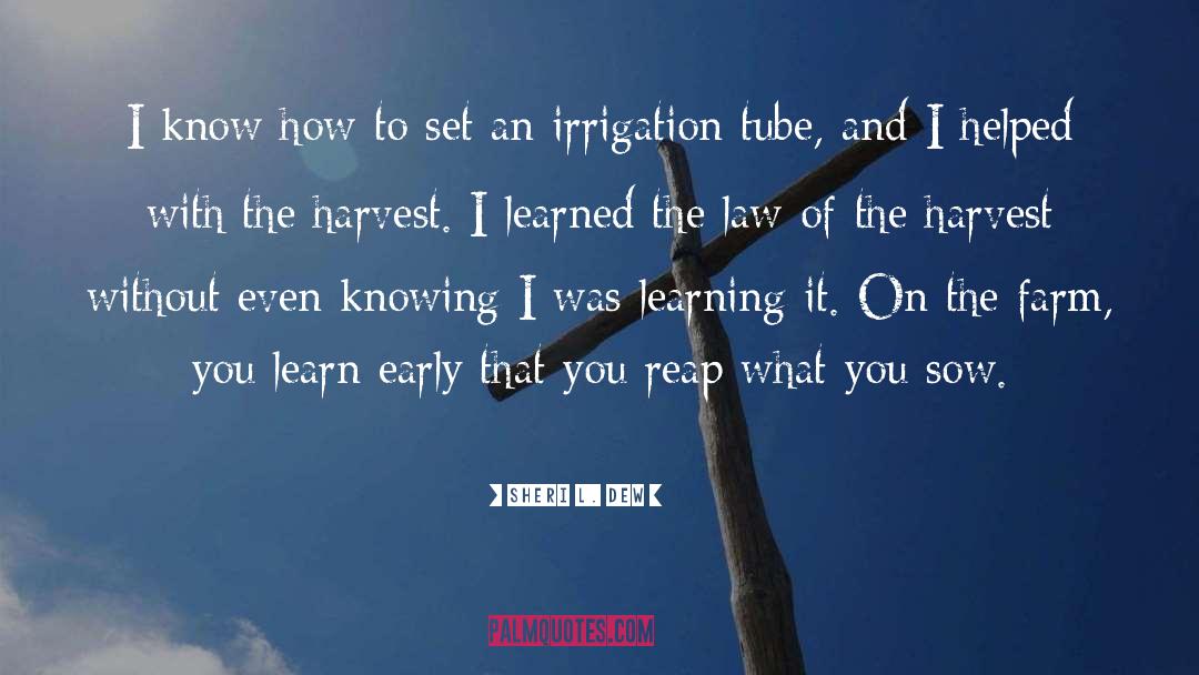 Reap What You Sow quotes by Sheri L. Dew