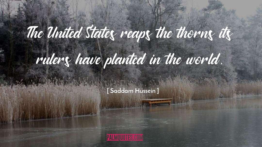 Reaps quotes by Saddam Hussein