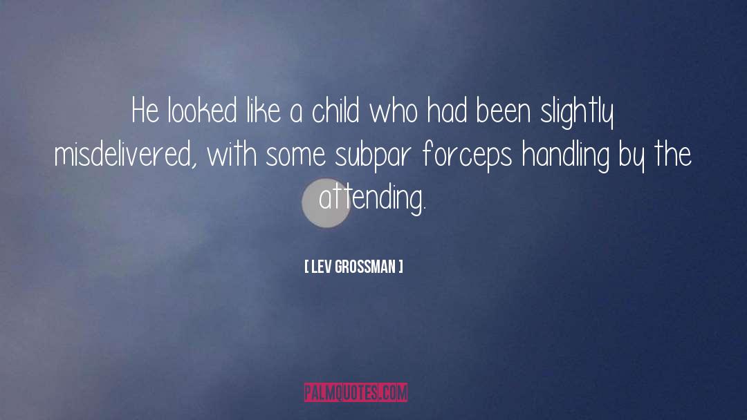 Rearing A Child quotes by Lev Grossman