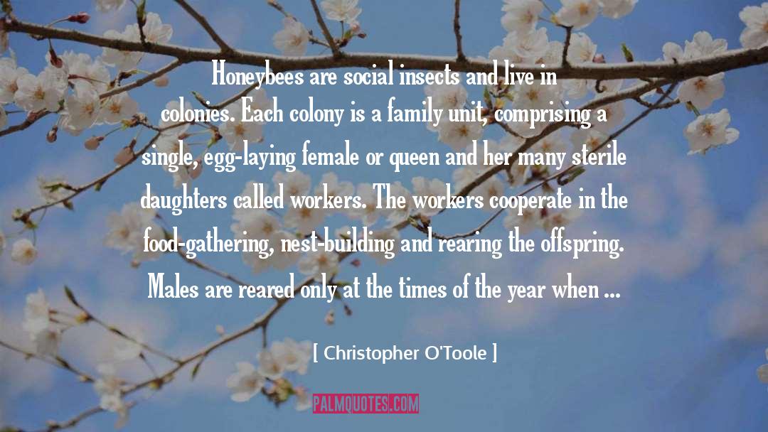 Rearing quotes by Christopher O'Toole