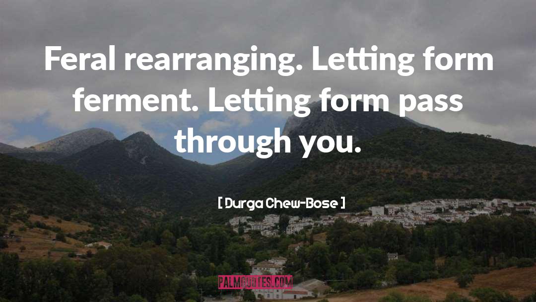 Rearranging quotes by Durga Chew-Bose