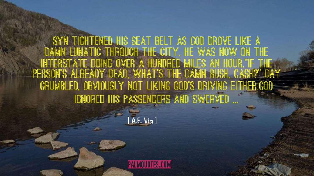Rearview Mirror quotes by A.E. Via