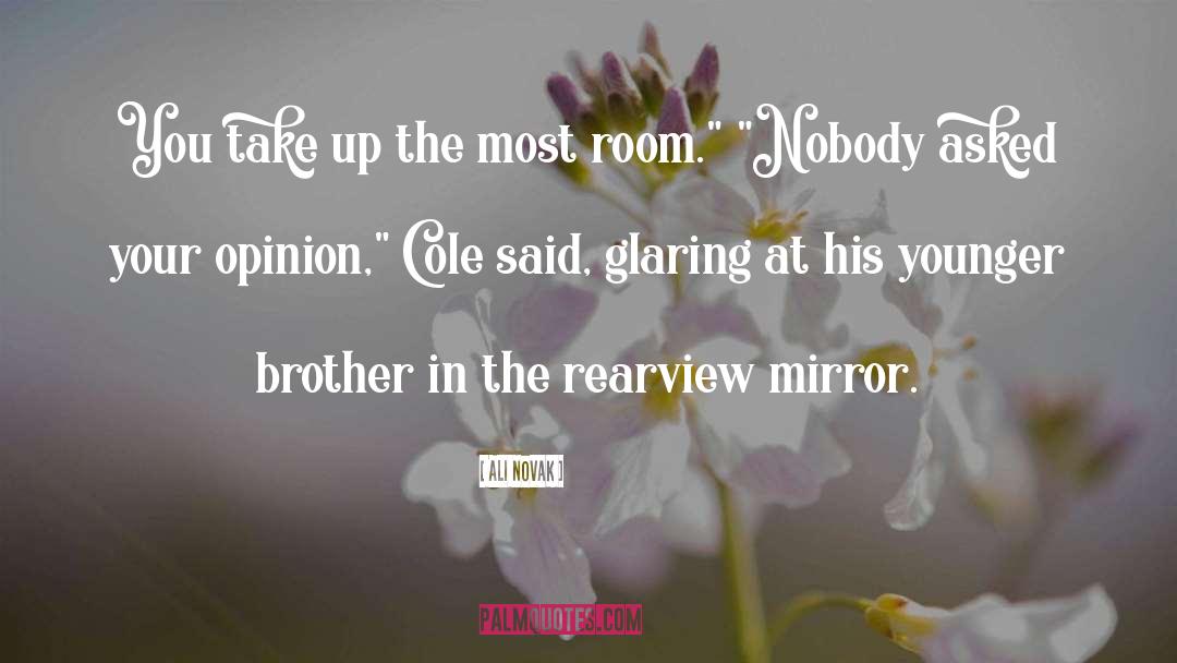 Rearview Mirror quotes by Ali Novak