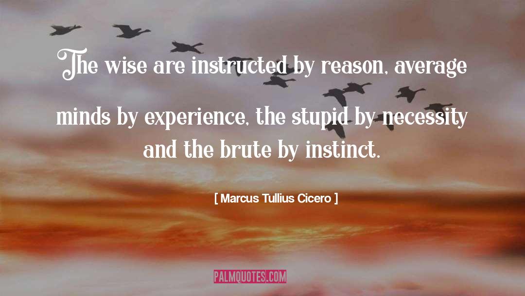 Reason And Logic quotes by Marcus Tullius Cicero