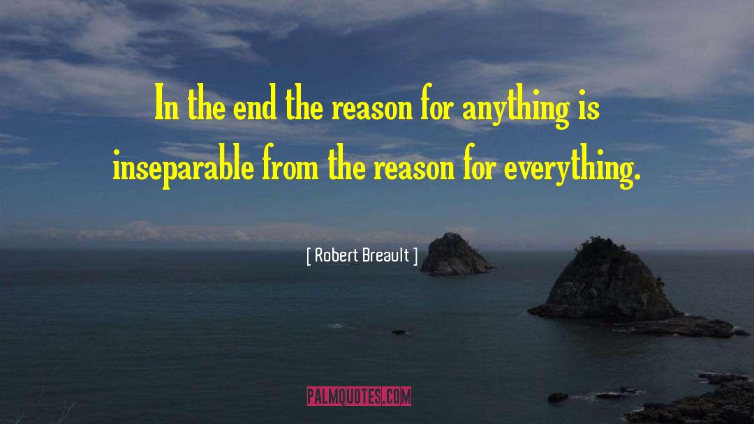 Reason For Everything quotes by Robert Breault