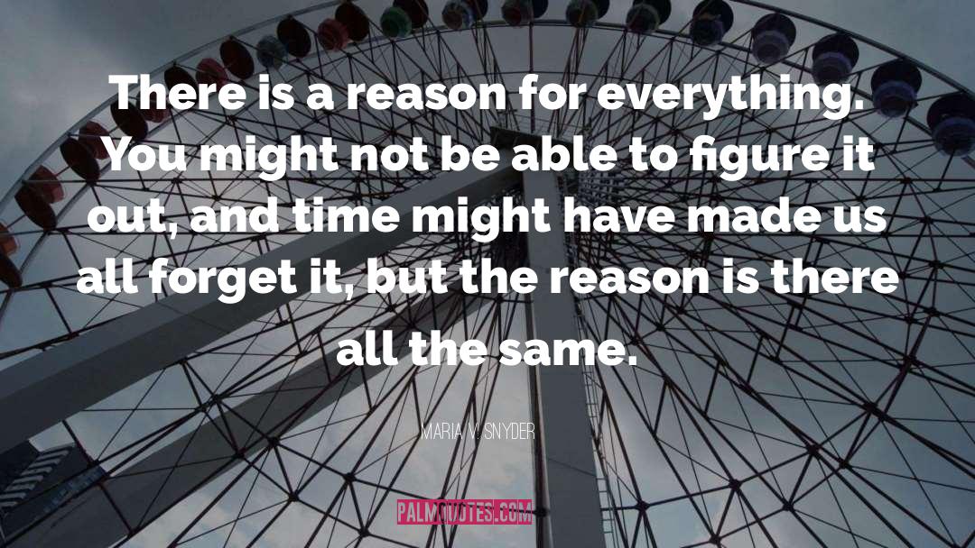 Reason For Everything quotes by Maria V. Snyder