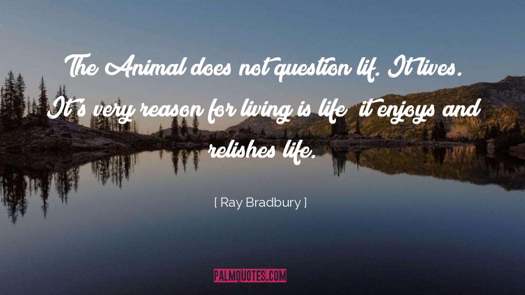 Reason For Living quotes by Ray Bradbury