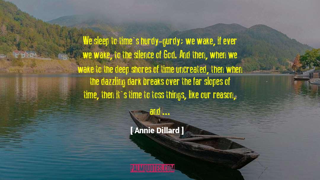 Reason For Success quotes by Annie Dillard