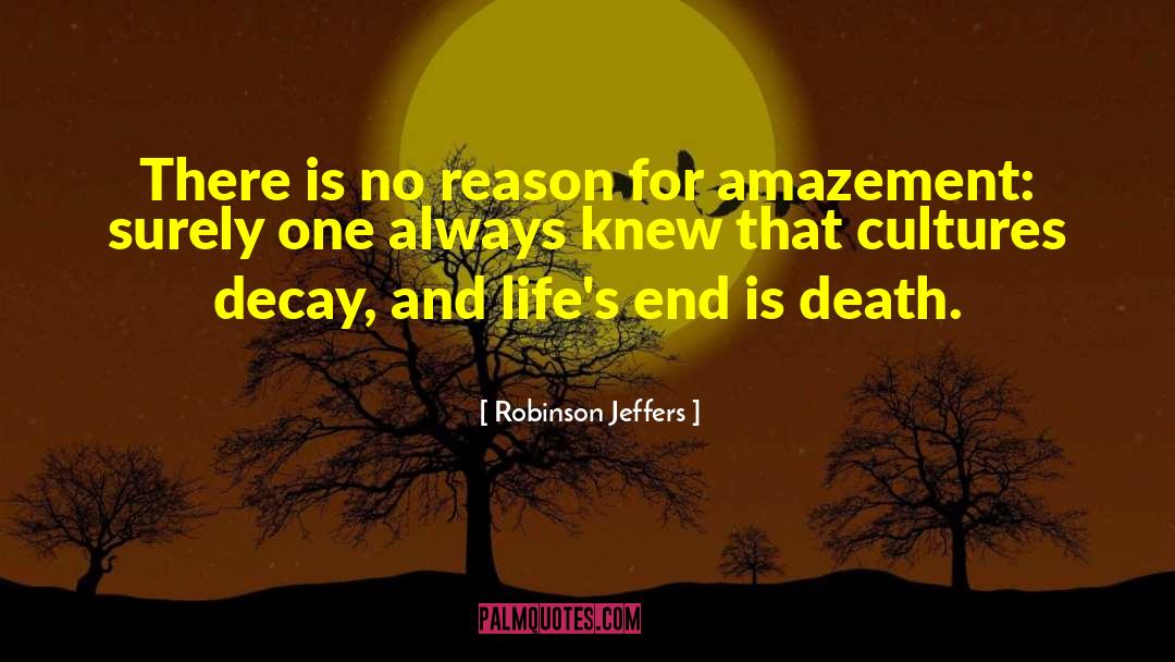 Reason For Success quotes by Robinson Jeffers
