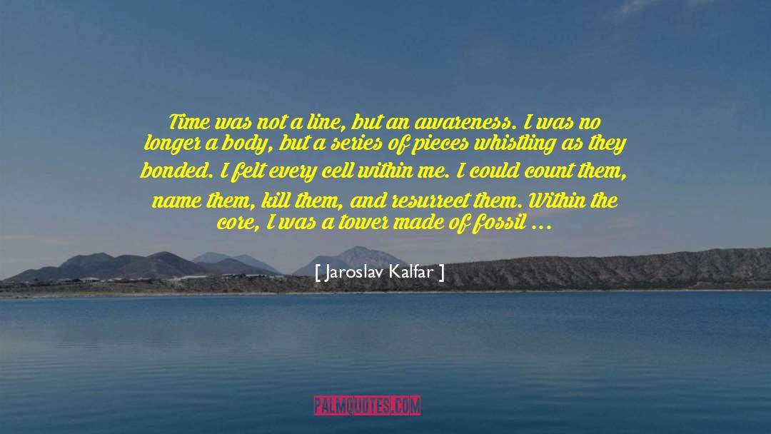 Reassembled quotes by Jaroslav Kalfar