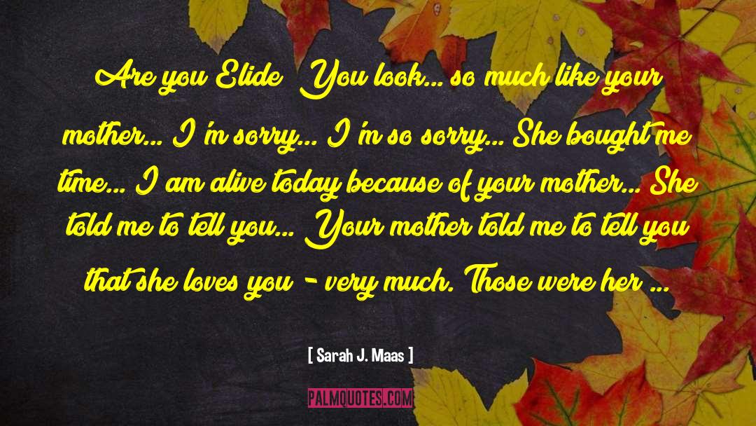 Reassure Her Of Your Love quotes by Sarah J. Maas