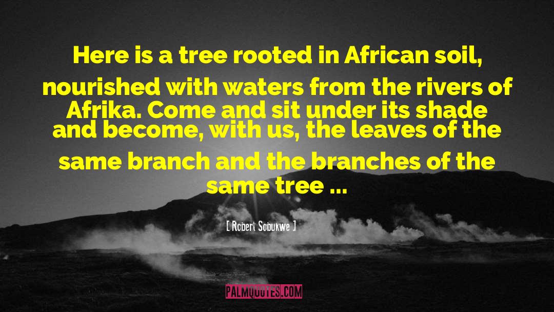Rebase Branch quotes by Robert Sobukwe