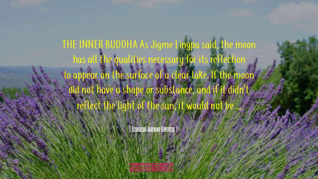 Rebel Buddha quotes by Dzongsar Jamyang Khyentse