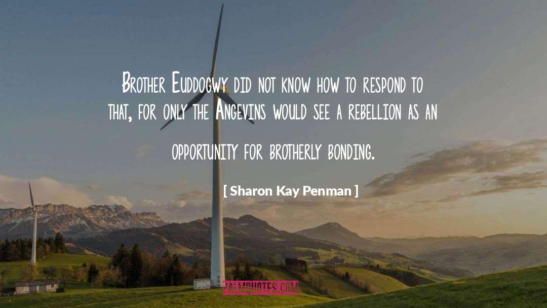 Rebellion quotes by Sharon Kay Penman