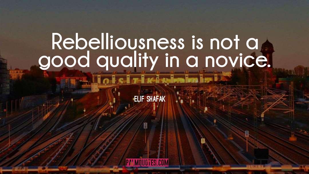 Rebelliousness quotes by Elif Shafak