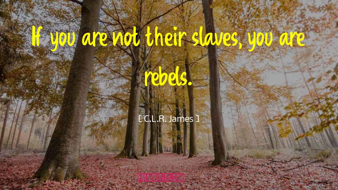Rebels quotes by C.L.R. James