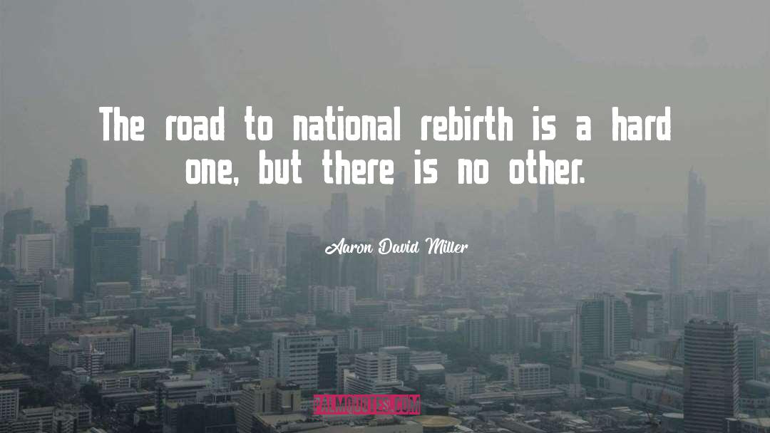 Rebirth quotes by Aaron David Miller