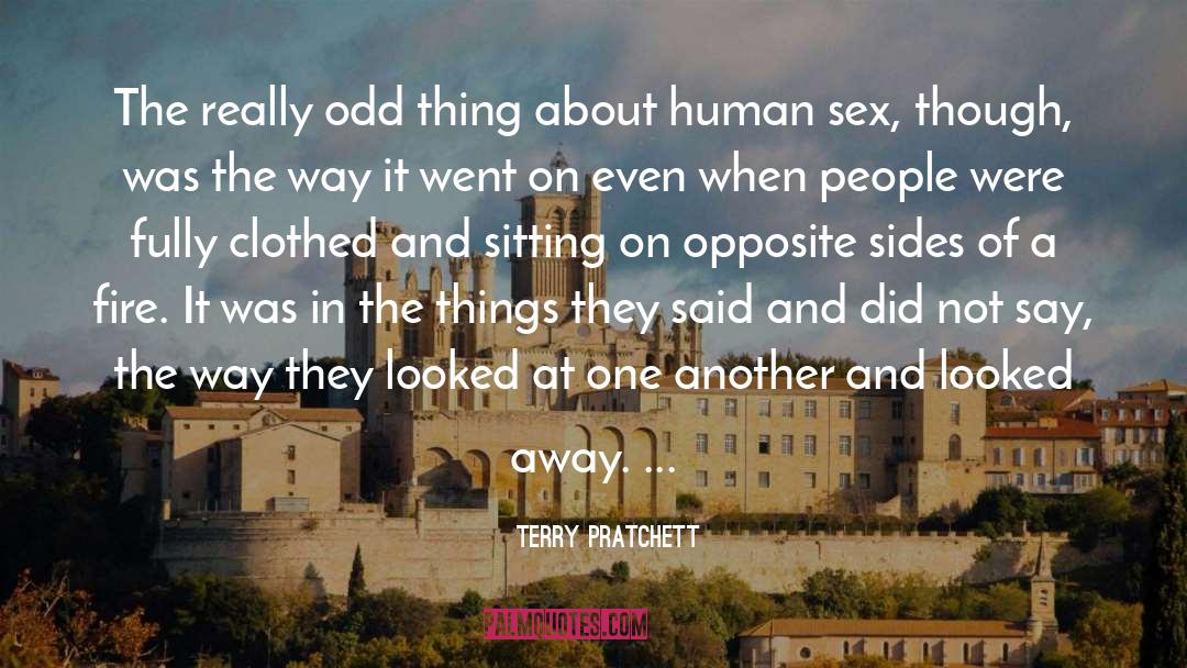 Rebound Sex quotes by Terry Pratchett