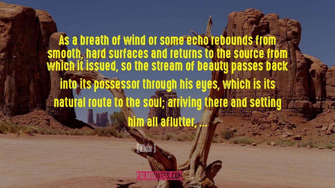 Rebounds quotes by Plato