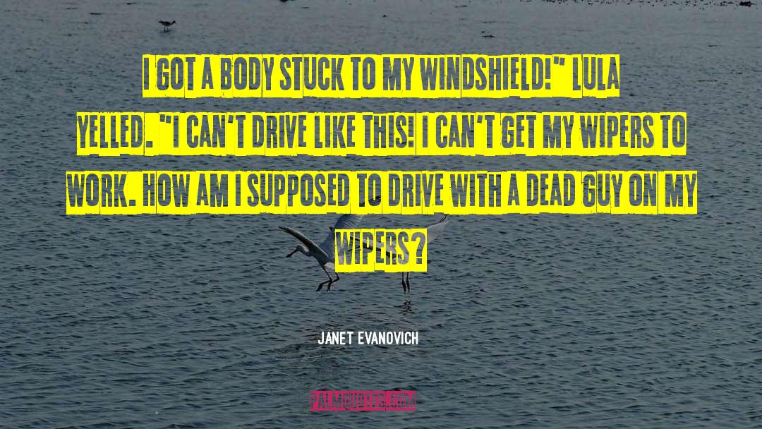 Recalibration After Windshield quotes by Janet Evanovich