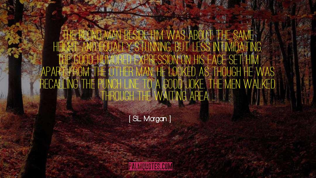 Recalling quotes by S.L. Morgan