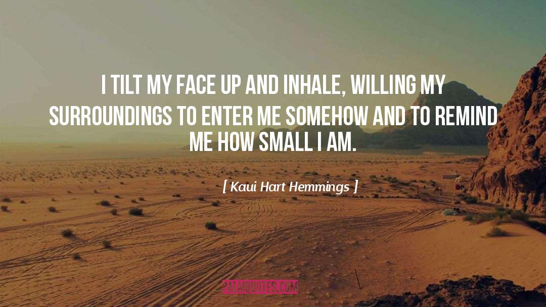 Recasens Tilt quotes by Kaui Hart Hemmings