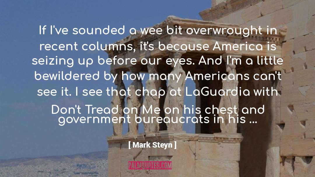 Recent Past quotes by Mark Steyn
