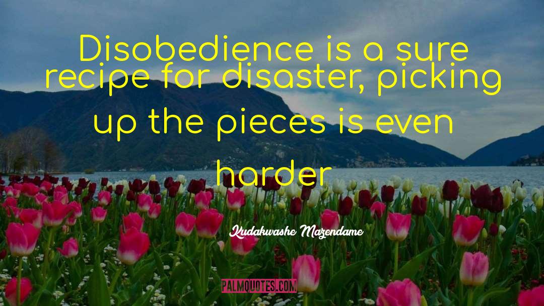 Recipe For Disaster quotes by Kudakwashe Mazendame