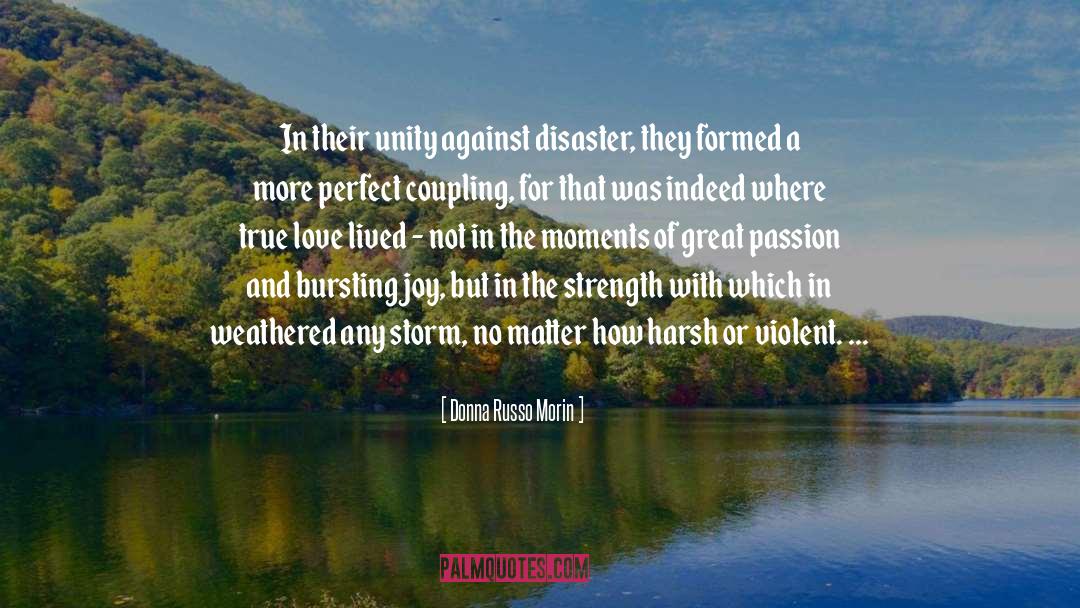 Recipe For Disaster quotes by Donna Russo Morin