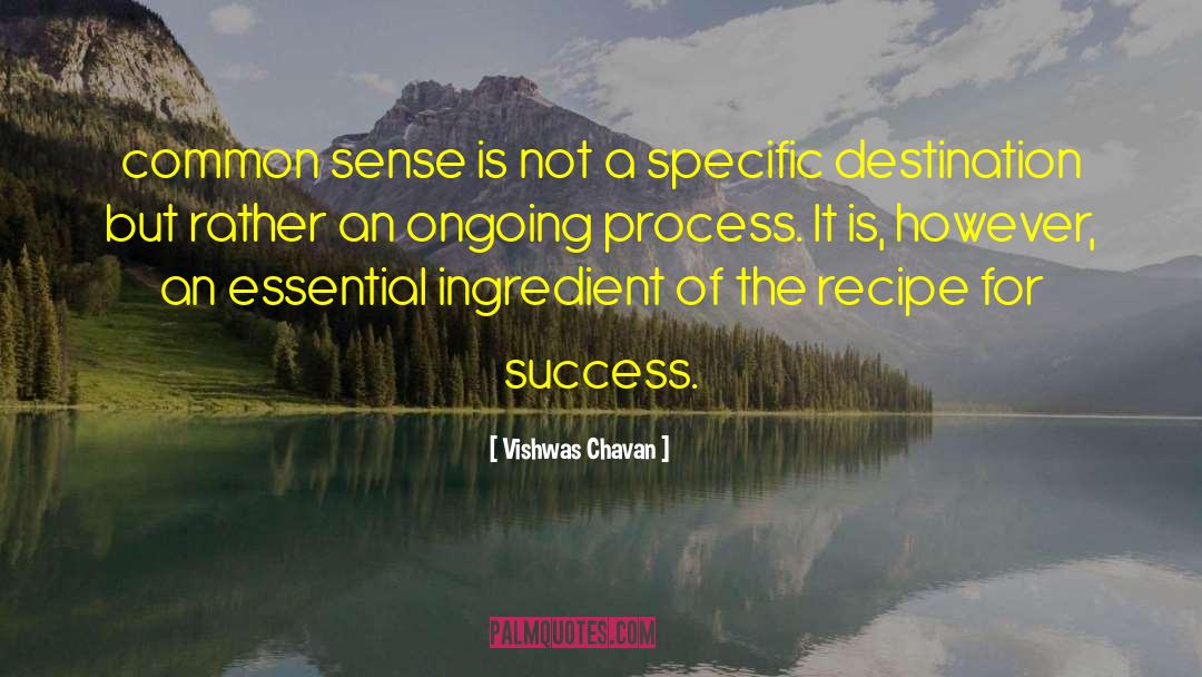 Recipe For Success quotes by Vishwas Chavan