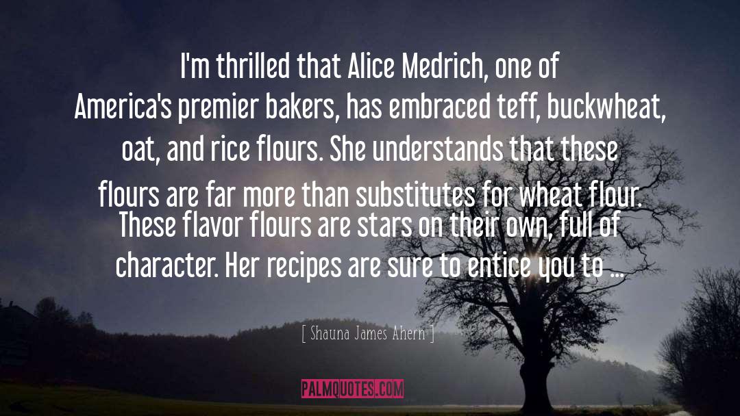Recipes quotes by Shauna James Ahern