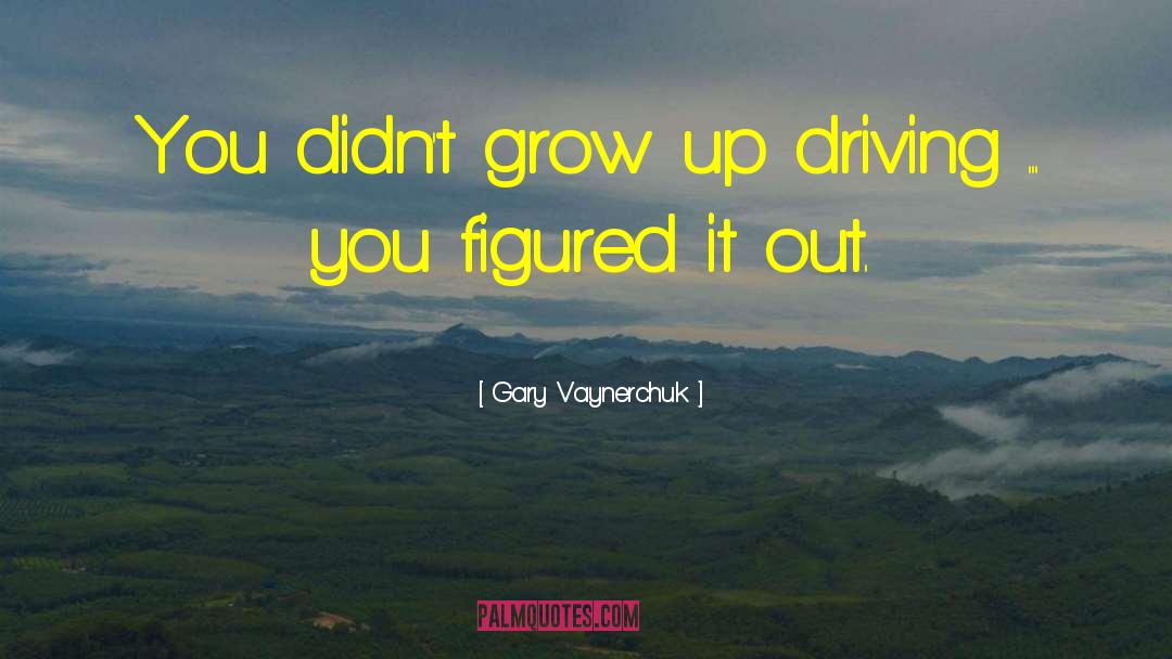 Reckless Driving quotes by Gary Vaynerchuk