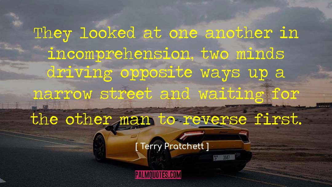 Reckless Driving quotes by Terry Pratchett