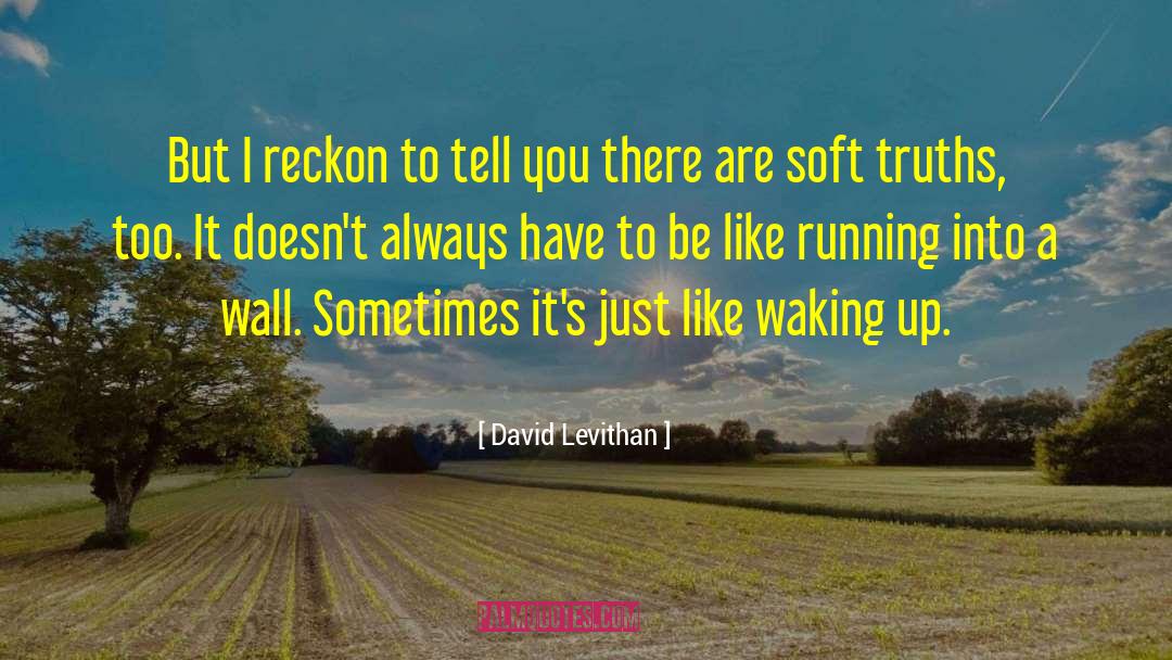Reckon quotes by David Levithan