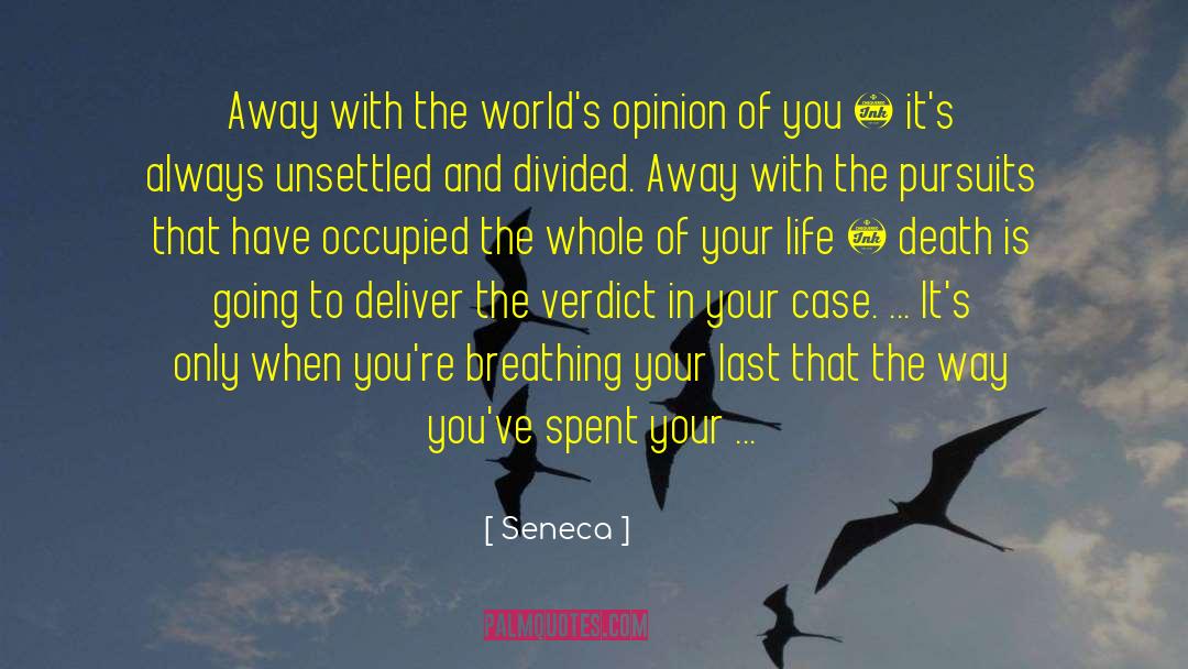 Reclaiming Your Time quotes by Seneca