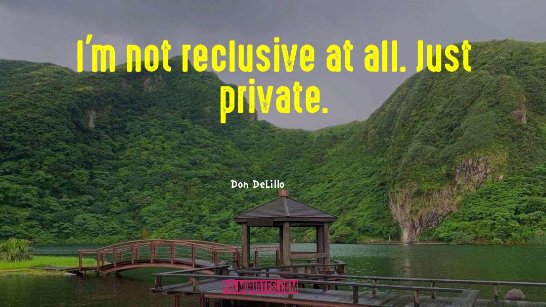 Reclusiveness quotes by Don DeLillo