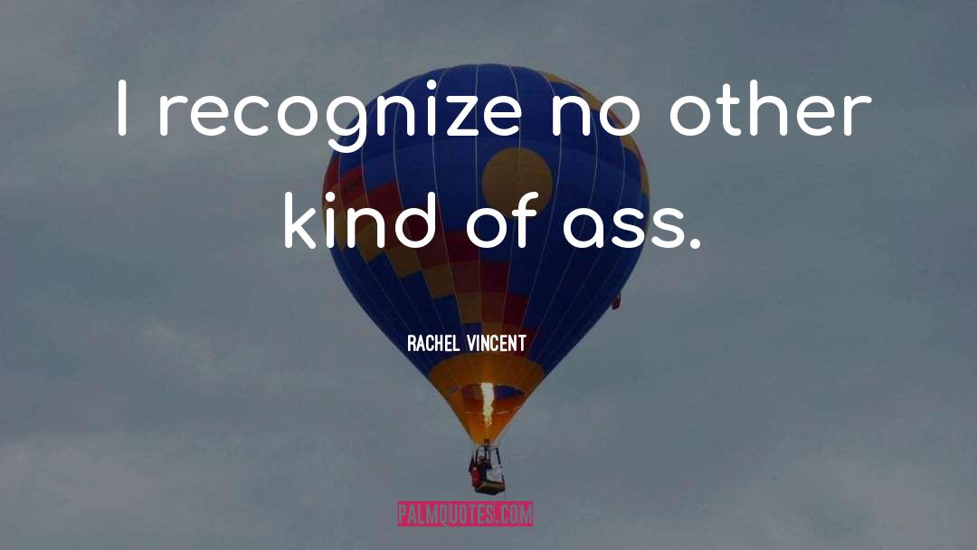 Recognize quotes by Rachel Vincent
