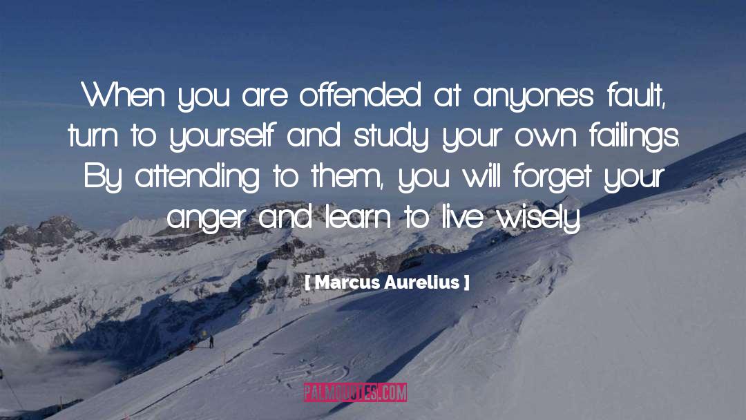 Recognizing Your Own Faults quotes by Marcus Aurelius