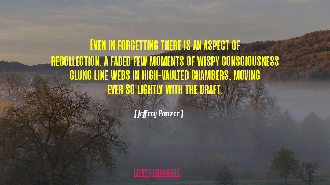 Recollection quotes by Jeffrey Panzer