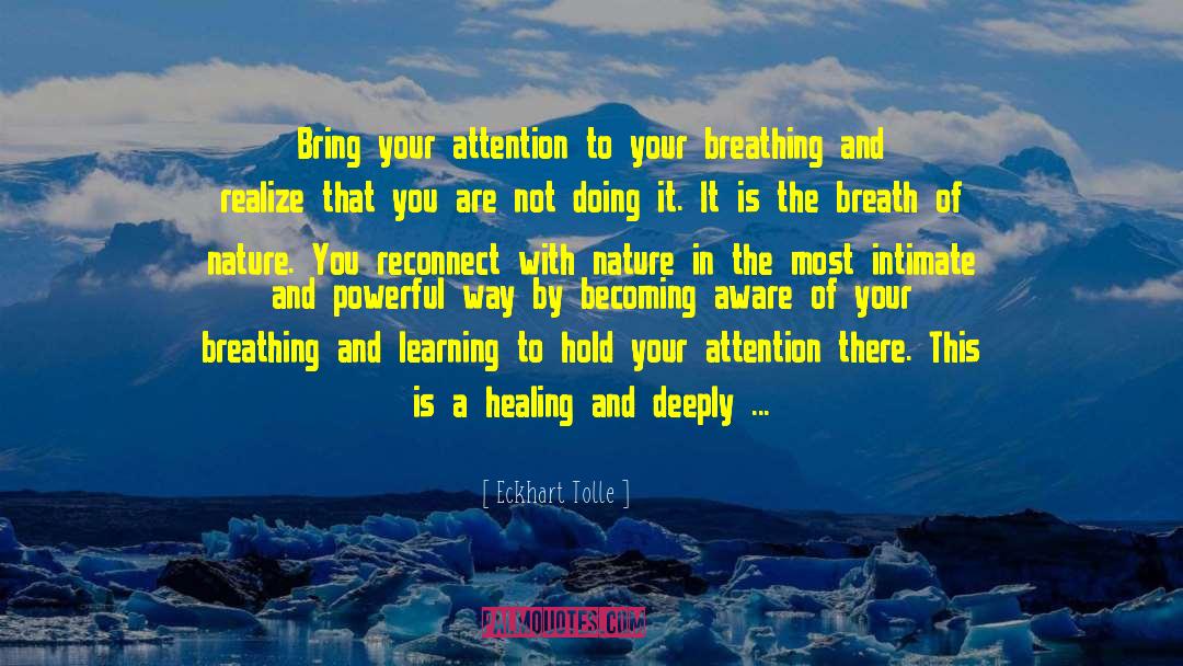 Reconnect quotes by Eckhart Tolle