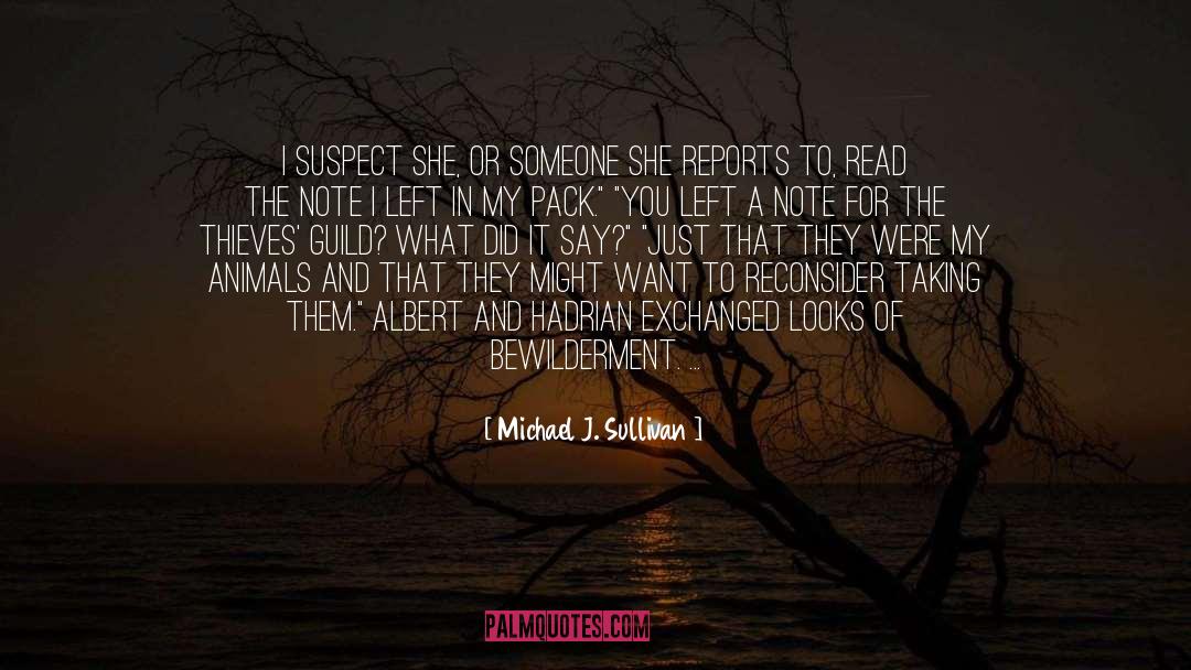 Reconsider quotes by Michael J. Sullivan