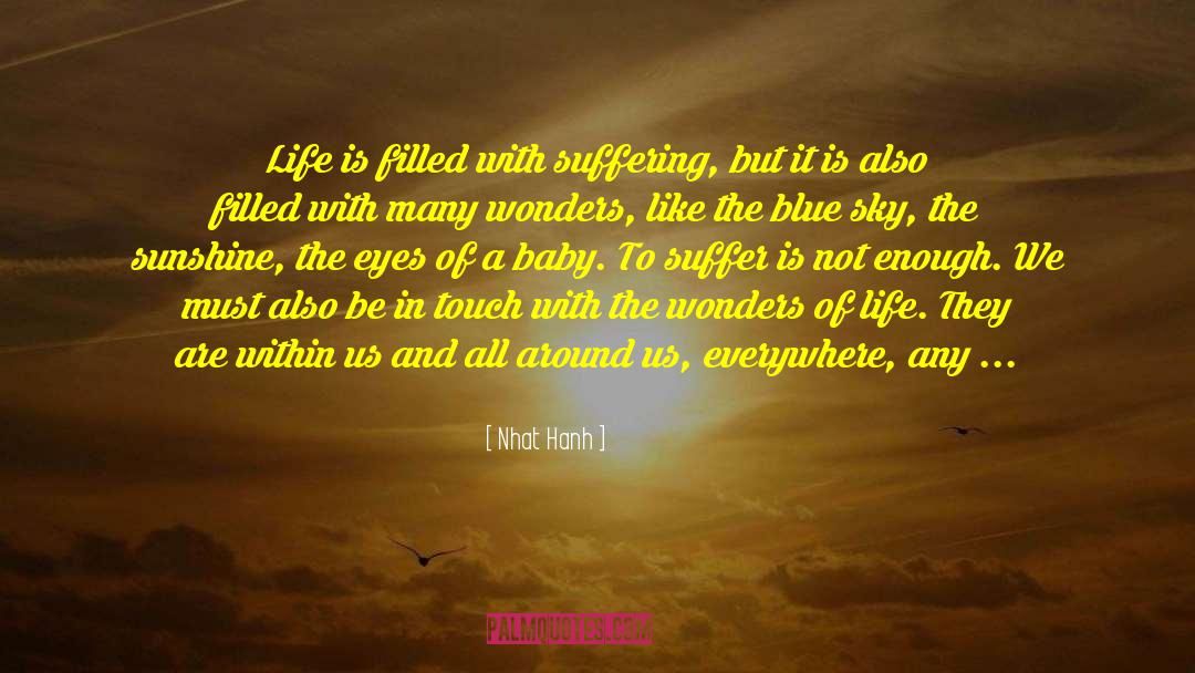 Record Of Life quotes by Nhat Hanh