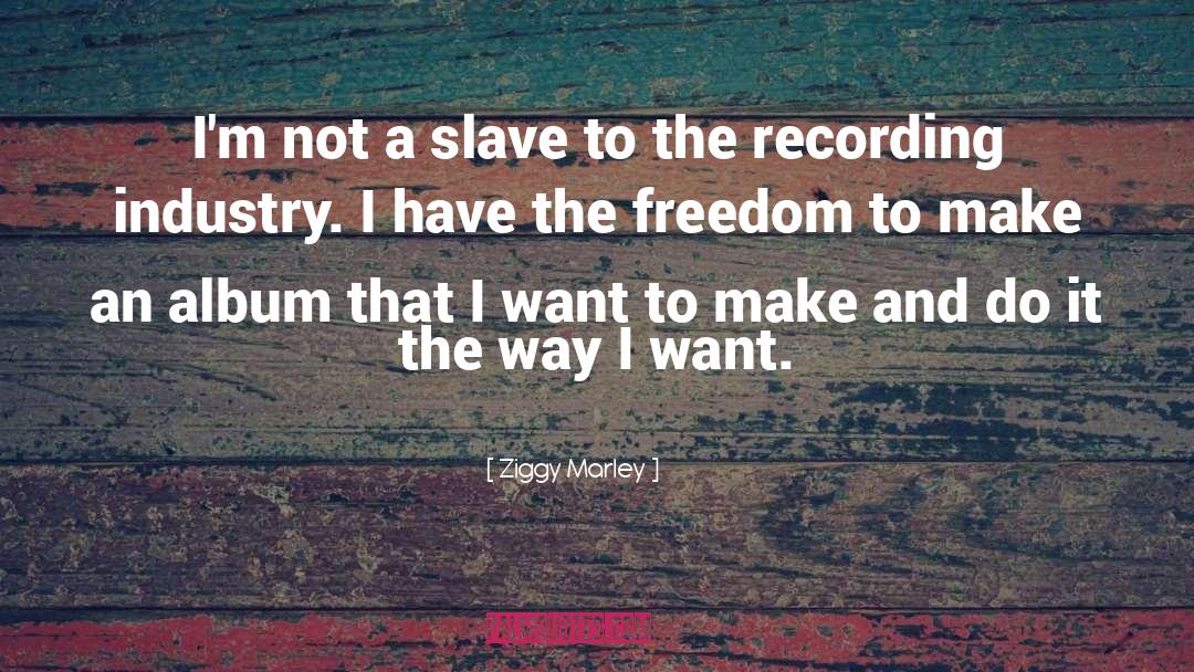 Recording Industry quotes by Ziggy Marley