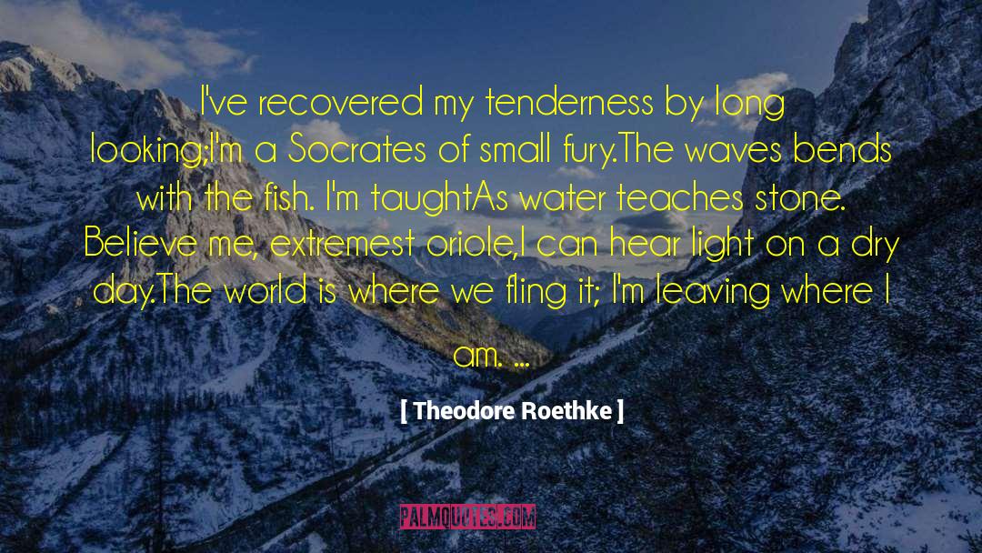 Recovered quotes by Theodore Roethke