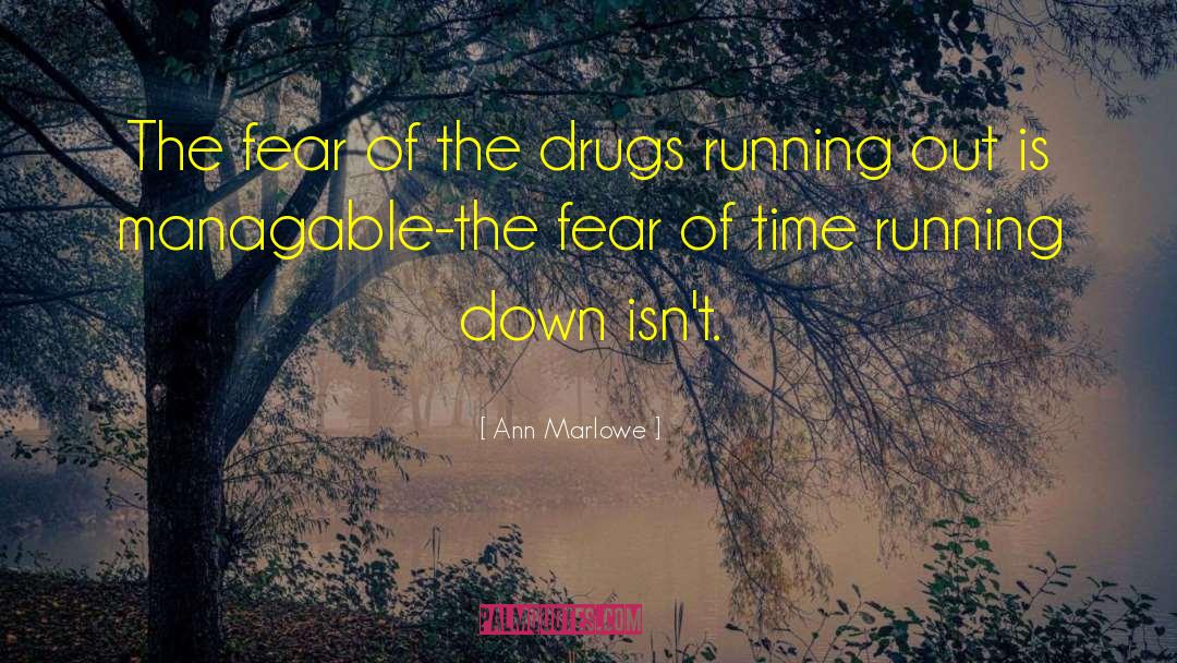 Recovery Drug Addiction quotes by Ann Marlowe