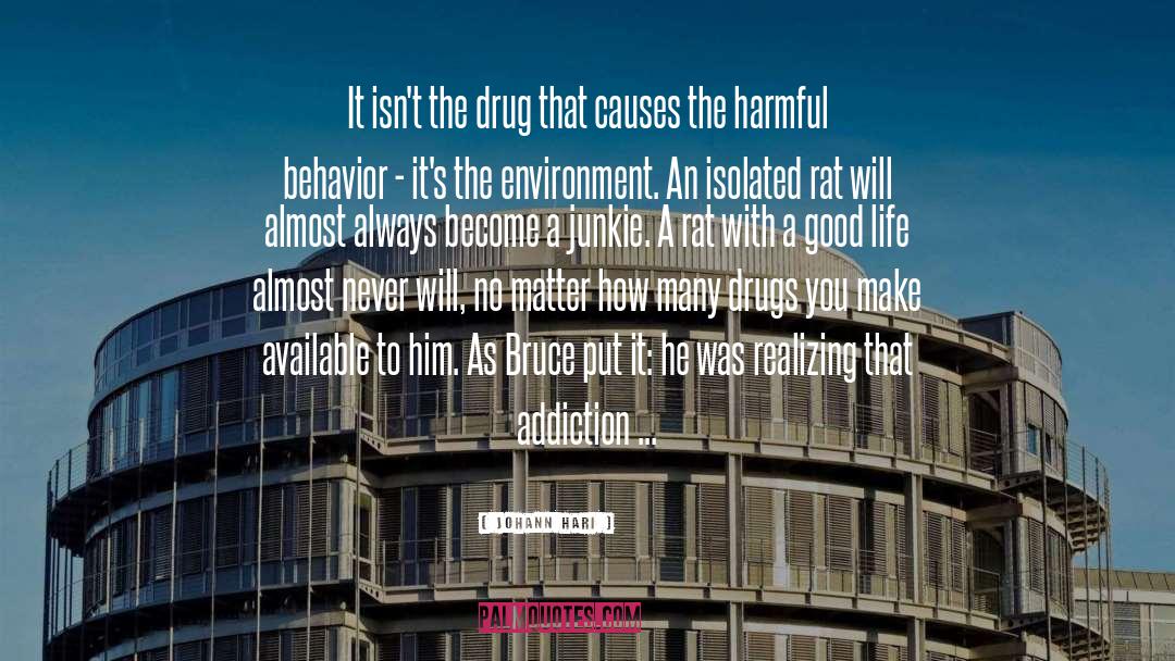 Recovery Drug Addiction quotes by Johann Hari