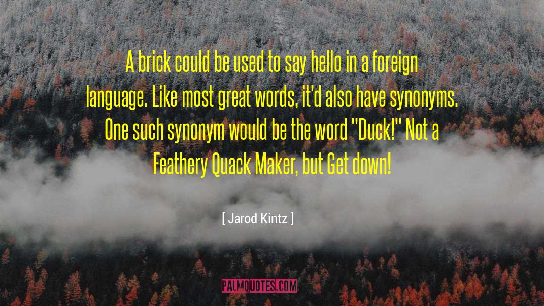 Recreates Synonyms quotes by Jarod Kintz