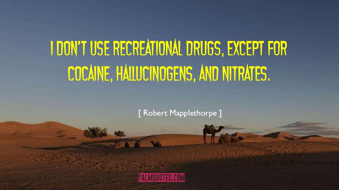 Recreational Drugs quotes by Robert Mapplethorpe