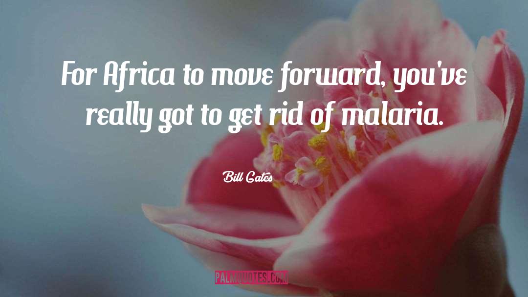 Recrudescence Malaria quotes by Bill Gates